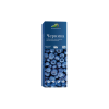 Blueberry Growing Kit - набор для выращивания черники